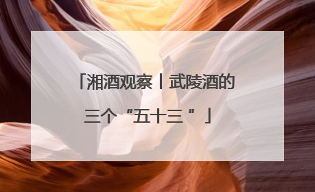 湘酒观察丨武陵酒的三个“五十三 ”