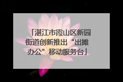 湛江市霞山区新园街道创新推出“出摊办公”移动服务台