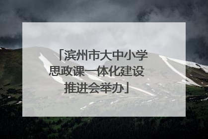 滨州市大中小学思政课一体化建设推进会举办