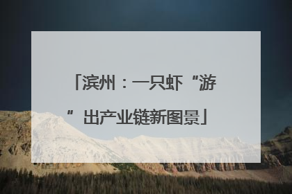 滨州：一只虾“游”出产业链新图景