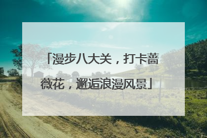 漫步八大关，打卡蔷薇花，邂逅浪漫风景