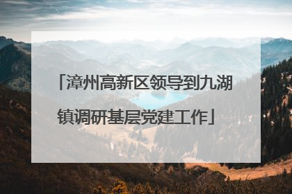 漳州高新区领导到九湖镇调研基层党建工作