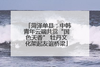 菏泽单县：中韩青年云端共赏“国色天香” 牡丹文化架起友谊桥梁