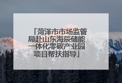 菏泽市市场监管局赴山东海辰储能一体化零碳产业园项目帮扶指导
