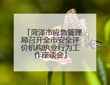 菏泽市应急管理局召开全市安全评价机构执业行为工作座谈会