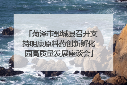 菏泽市鄄城县召开支持明康原料药创新孵化园高质量发展座谈会