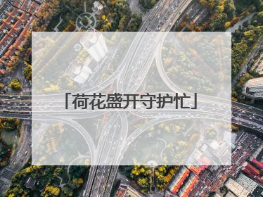 荷花盛开守护忙