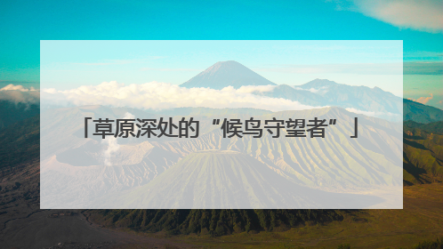 草原深处的“候鸟守望者”