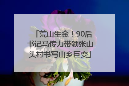 荒山生金！90后书记马传力带领张山头村书写山乡巨变