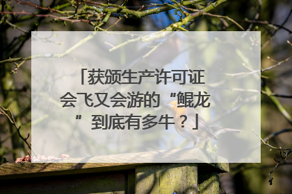 获颁生产许可证 会飞又会游的“鲲龙”到底有多牛？