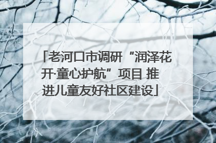 老河口市调研“润泽花开·童心护航”项目 推进儿童友好社区建设