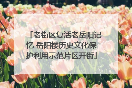 老街区复活老岳阳记忆 岳阳楼历史文化保护利用示范片区开街