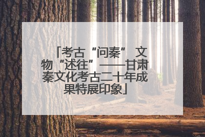 考古“问秦” 文物“述往”——甘肃秦文化考古二十年成果特展印象