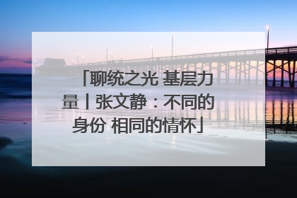 聊统之光 基层力量丨张文静：不同的身份 相同的情怀