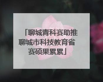 聊城青科赛助推聊城市科技教育省赛硕果累累