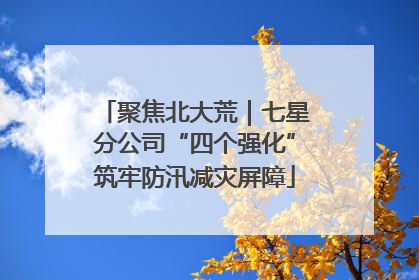 聚焦北大荒｜七星分公司“四个强化”筑牢防汛减灾屏障