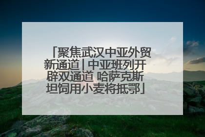 聚焦武汉中亚外贸新通道│中亚班列开辟双通道 哈萨克斯坦饲用小麦将抵鄂
