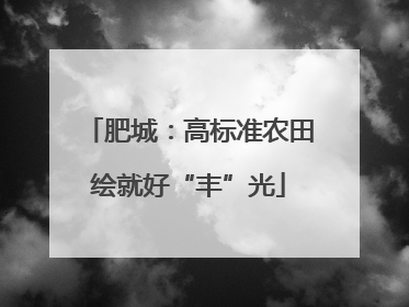 肥城：高标准农田绘就好“丰”光