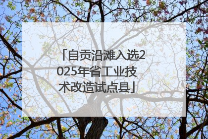 自贡沿滩入选2025年省工业技术改造试点县
