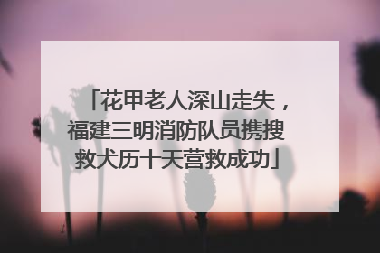 花甲老人深山走失，福建三明消防队员携搜救犬历十天营救成功