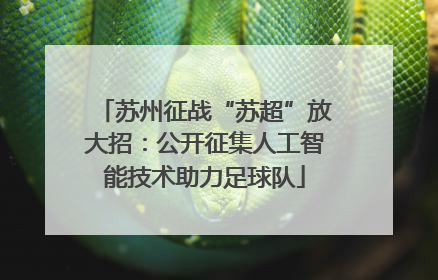 苏州征战“苏超”放大招：公开征集人工智能技术助力足球队
