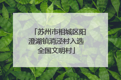 苏州市相城区阳澄湖镇消泾村入选全国文明村