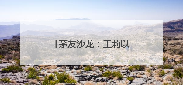 茅友沙龙：王莉以“三重价值”与茅友共探情感逻辑