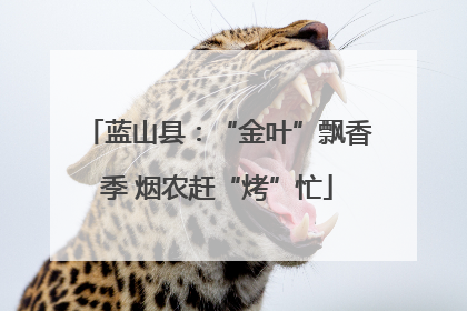蓝山县：“金叶”飘香季 烟农赶“烤”忙