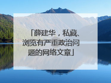 薛建华，私藏、浏览有严重政治问题的网络文章
