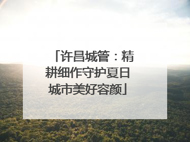 许昌城管：精耕细作守护夏日城市美好容颜