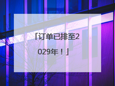 订单已排至2029年！