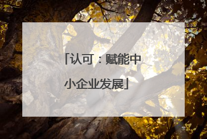 认可：赋能中小企业发展