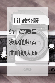 让政务服务与高质量发展的协奏曲响彻大地
