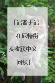 记者手记｜在厄特街头收获中文问候
