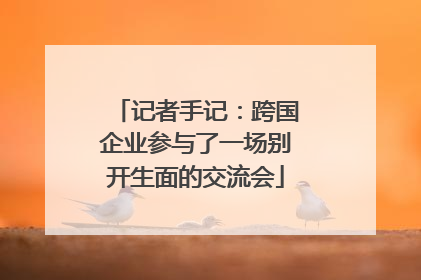 记者手记：跨国企业参与了一场别开生面的交流会