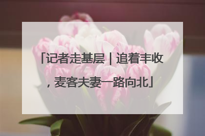 记者走基层｜追着丰收，麦客夫妻一路向北
