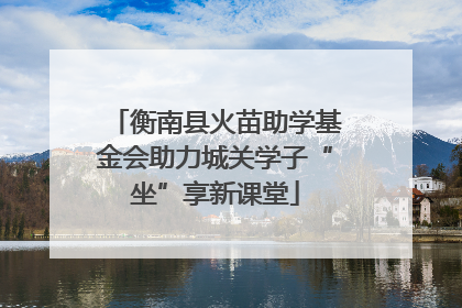 衡南县火苗助学基金会助力城关学子“坐”享新课堂