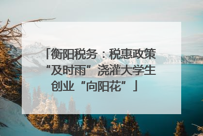 衡阳税务：税惠政策“及时雨”浇灌大学生创业“向阳花”