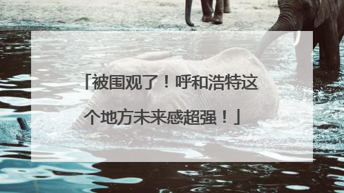 被围观了！呼和浩特这个地方未来感超强！