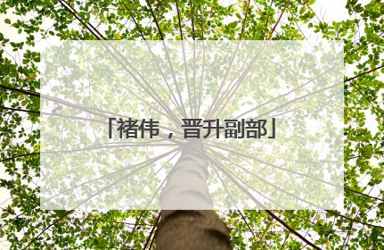褚伟，晋升副部