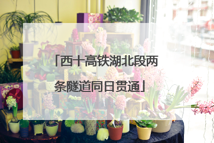 西十高铁湖北段两条隧道同日贯通