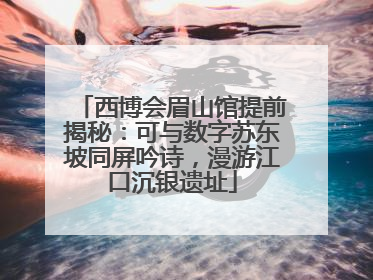 西博会眉山馆提前揭秘：可与数字苏东坡同屏吟诗，漫游江口沉银遗址