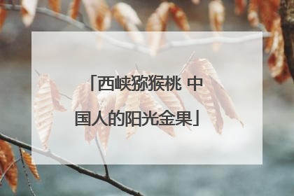 西峡猕猴桃 中国人的阳光金果