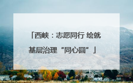 西峡：志愿同行 绘就基层治理“同心圆”