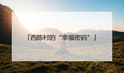 西陈村的“幸福密码”