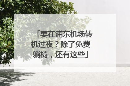 要在浦东机场转机过夜？除了免费躺椅，还有这些