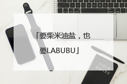 要柴米油盐，也要LABUBU