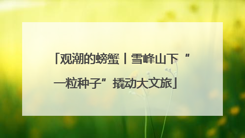 观潮的螃蟹丨雪峰山下“一粒种子”撬动大文旅