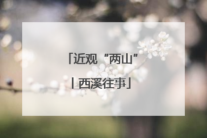 近观“两山”丨西溪往事