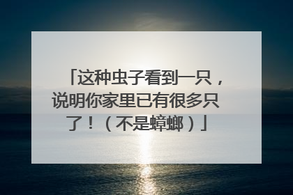 这种虫子看到一只，说明你家里已有很多只了！（不是蟑螂）